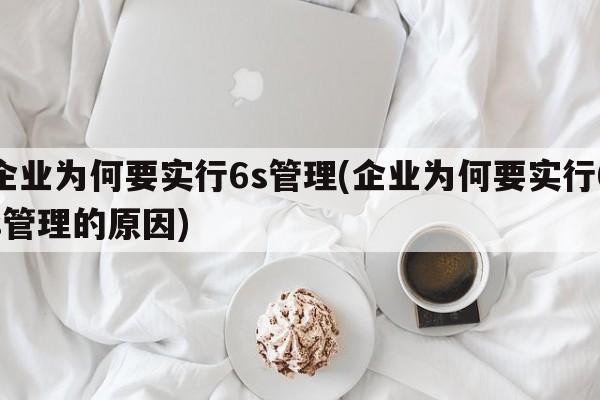 企业为何要实行6s管理(企业为何要实行6s管理的原因)